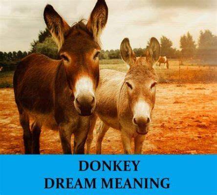  The Donkey and the Hyena! A Curious Tale Illustrating Ethiopian Social Dynamics